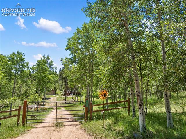 MLS Image for 173  Deerview  ,Florissant, Colorado
