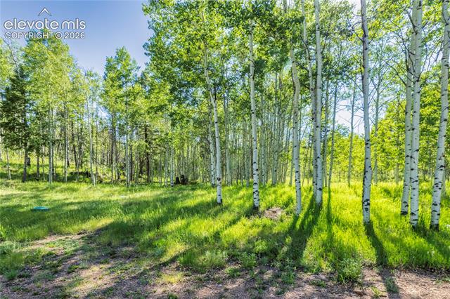 MLS Image for 173  Deerview  ,Florissant, Colorado