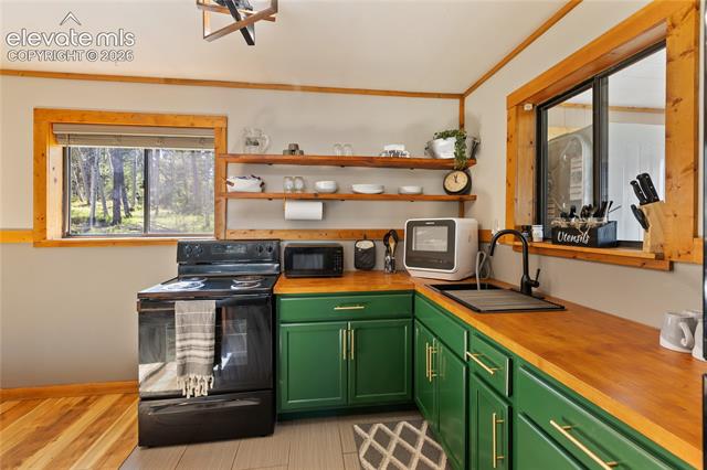 MLS Image for 173  Deerview  ,Florissant, Colorado