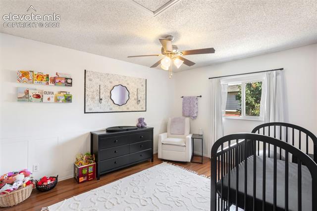 MLS Image for 3117  Moonbeam  ,Colorado Springs, Colorado
