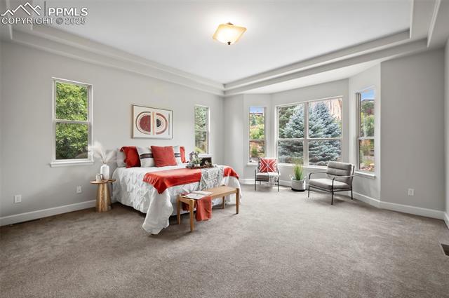 MLS Image for 12621  WOODRUFF  ,Colorado Springs, Colorado