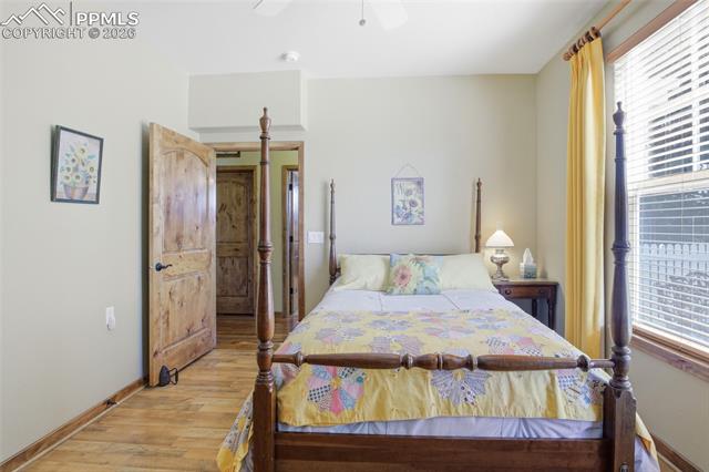 MLS Image for 1404  Lewis Ridge   ,Colorado Springs, Colorado