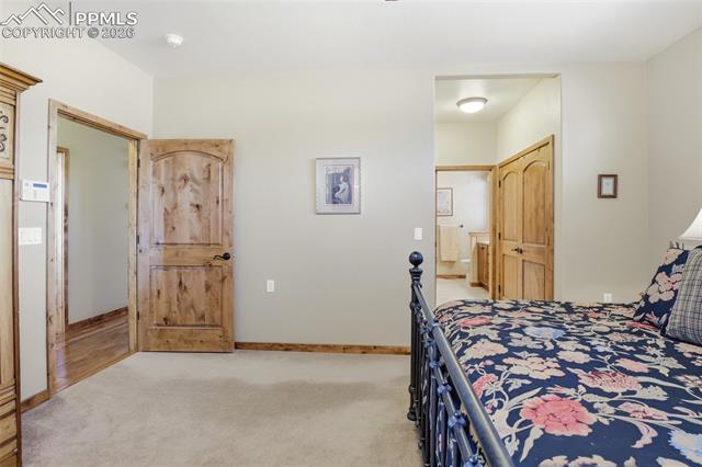 MLS Image for 1404  Lewis Ridge   ,Colorado Springs, Colorado