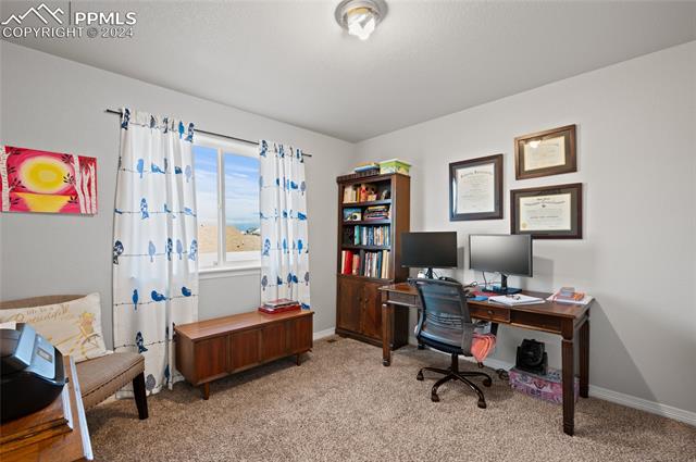 MLS Image for 10607  Desert Bloom  ,Colorado Springs, Colorado