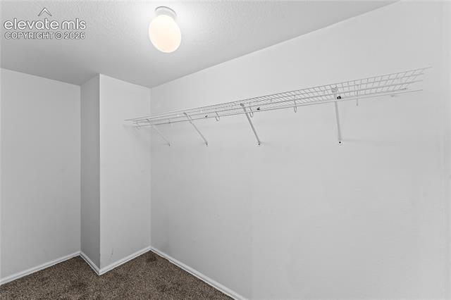 MLS Image for 1526  Chutney  ,Colorado Springs, Colorado