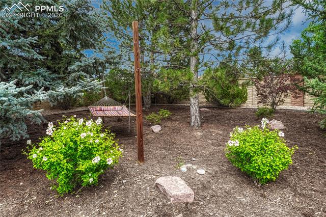 MLS Image for 7564  AMBERLY  ,Colorado Springs, Colorado