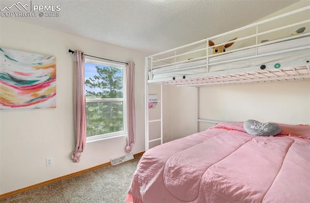 MLS Image for 5665  Whiting  ,Peyton, Colorado