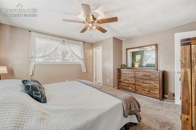 MLS Image for 1005 W Browning  ,Woodland Park, Colorado