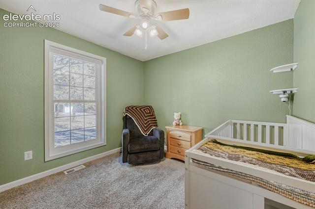 MLS Image for 1005 W Browning  ,Woodland Park, Colorado