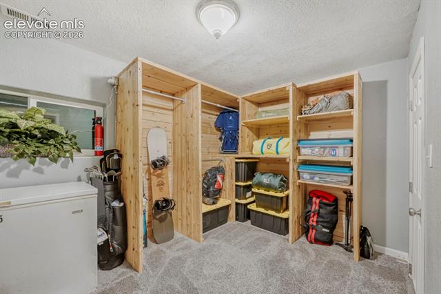 MLS Image for 1005 W Browning  ,Woodland Park, Colorado