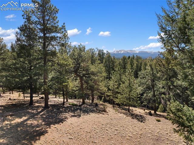 MLS Image for 48  Walden Lake  ,Divide, Colorado