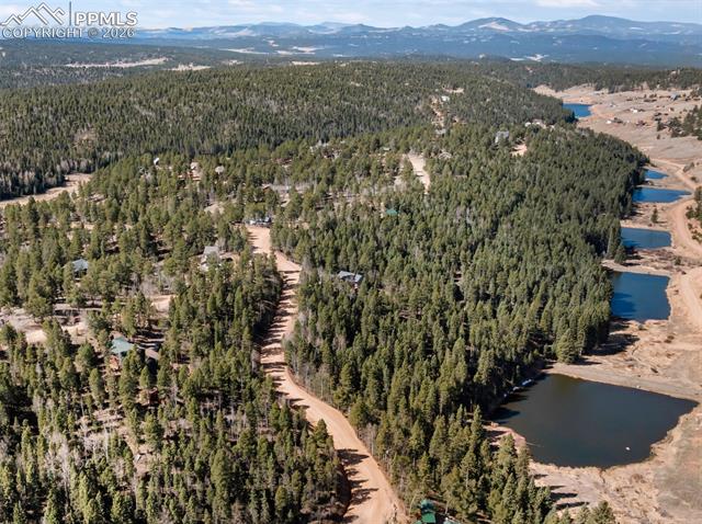 MLS Image for 48  Walden Lake  ,Divide, Colorado
