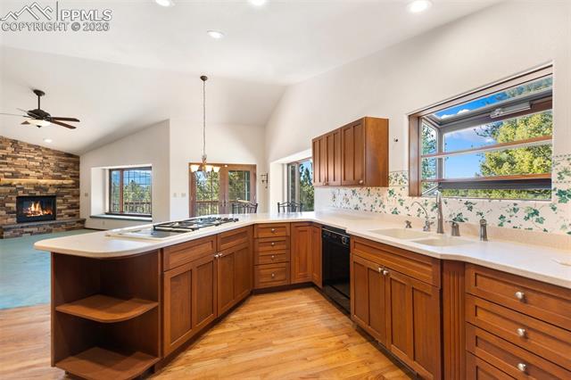 MLS Image for 48  Walden Lake  ,Divide, Colorado