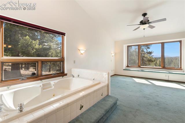 MLS Image for 48  Walden Lake  ,Divide, Colorado