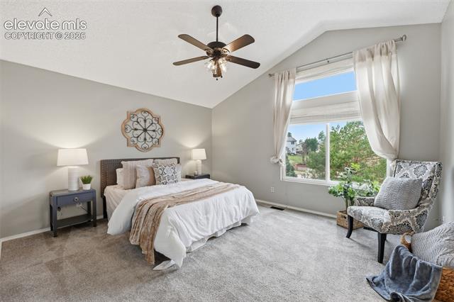 MLS Image for 6742  McEwan  ,Colorado Springs, Colorado