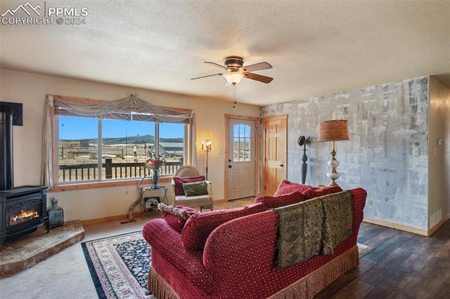 MLS Image for 29  Ridge Point  ,Divide, Colorado