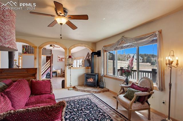 MLS Image for 29  Ridge Point  ,Divide, Colorado