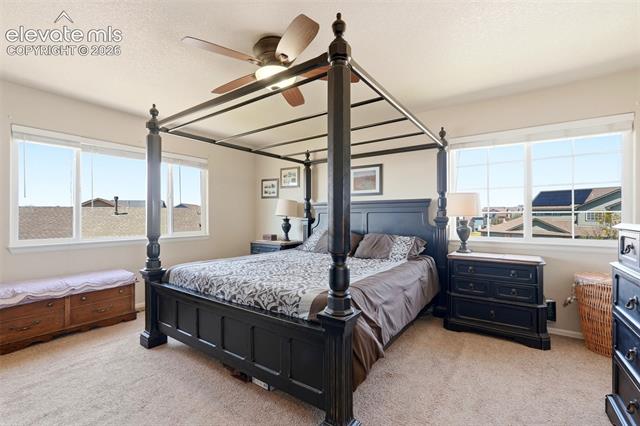 MLS Image for 13105  River Falls  ,Peyton, Colorado