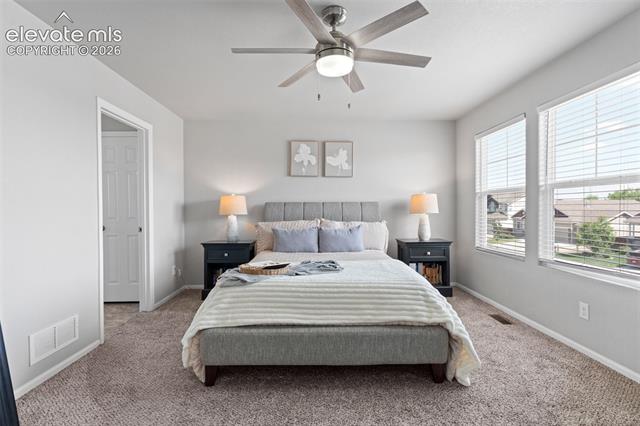 MLS Image for 9752  Wando  ,Colorado Springs, Colorado