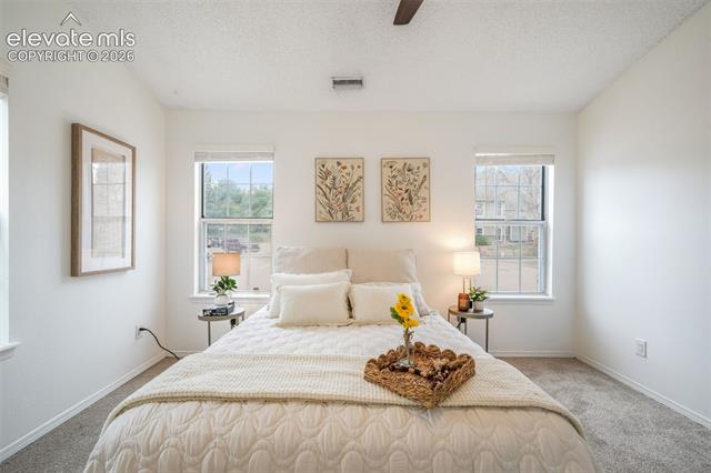 MLS Image for 2105  Troy   ,Colorado Springs, Colorado