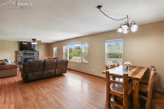 MLS Image for 244  Pine Bluff  ,Divide, Colorado
