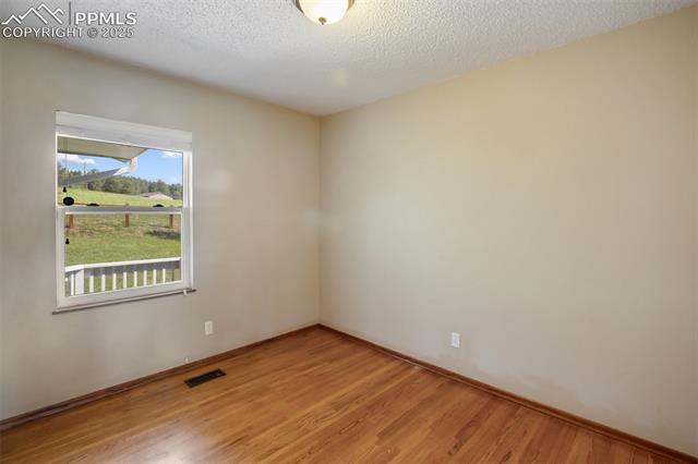 MLS Image for 244  Pine Bluff  ,Divide, Colorado