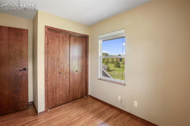 MLS Image for 244  Pine Bluff  ,Divide, Colorado
