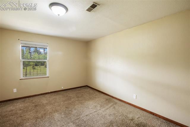 MLS Image for 244  Pine Bluff  ,Divide, Colorado