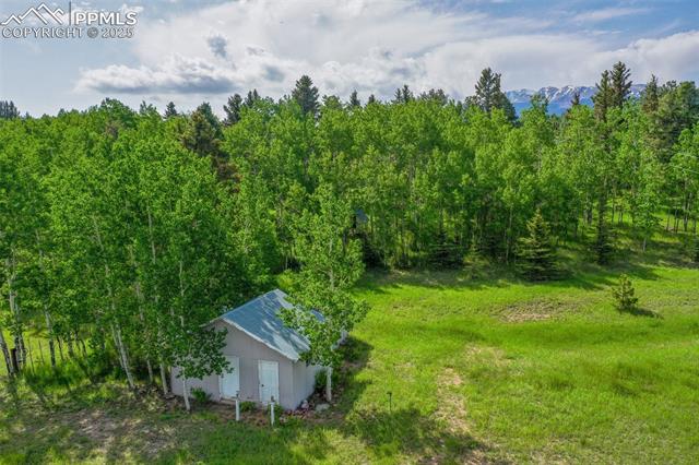 MLS Image for 244  Pine Bluff  ,Divide, Colorado