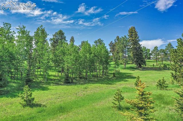 MLS Image for 244  Pine Bluff  ,Divide, Colorado