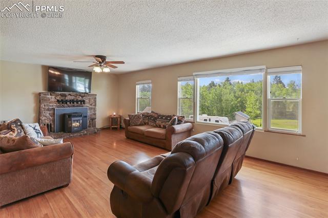 MLS Image for 244  Pine Bluff  ,Divide, Colorado