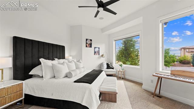 MLS Image for 13625  Random Ridge  ,Colorado Springs, Colorado