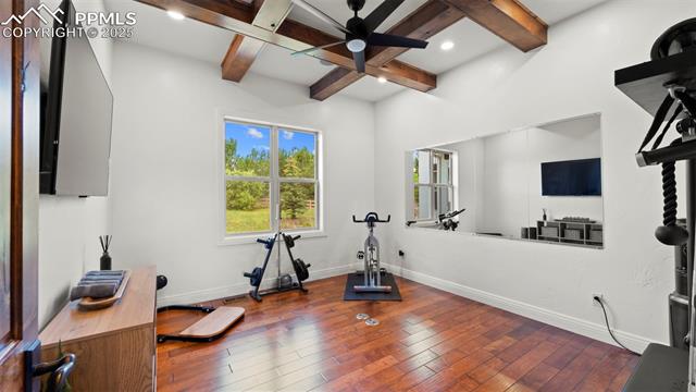 MLS Image for 13625  Random Ridge  ,Colorado Springs, Colorado