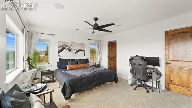 MLS Image for 13625  Random Ridge  ,Colorado Springs, Colorado