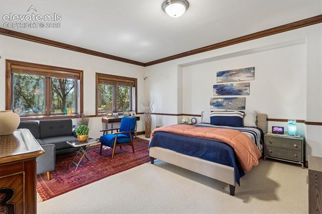 MLS Image for 668  Silver Oak  ,Colorado Springs, Colorado