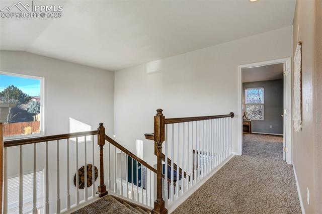 MLS Image for 5308  Rose Ridge  ,Colorado Springs, Colorado