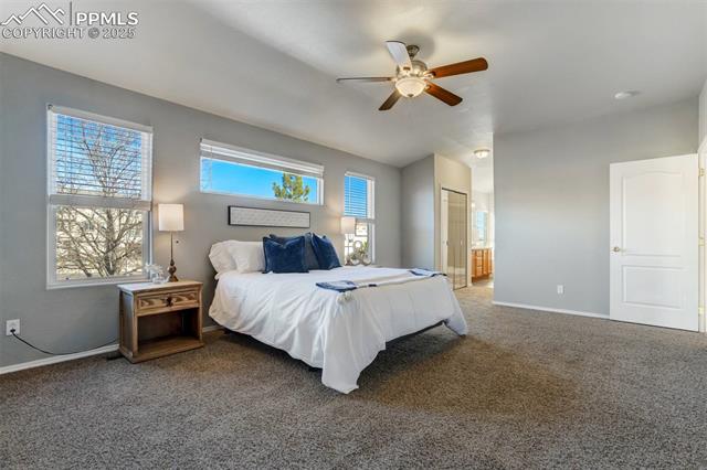 MLS Image for 5308  Rose Ridge  ,Colorado Springs, Colorado