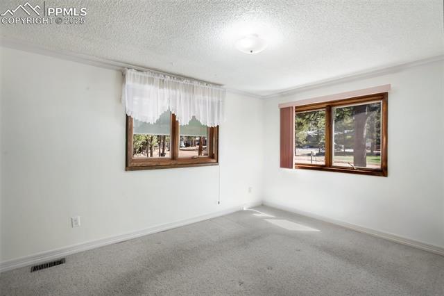 MLS Image for 782  Sunnywood  ,Woodland Park, Colorado