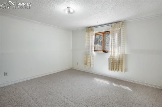 MLS Image for 782  Sunnywood  ,Woodland Park, Colorado