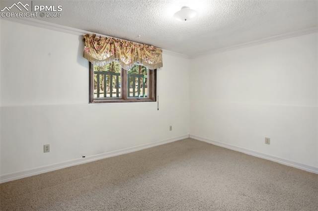 MLS Image for 782  Sunnywood  ,Woodland Park, Colorado
