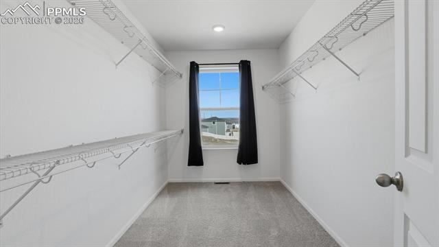 MLS Image for 5266  Sidewinder  ,Colorado Springs, Colorado