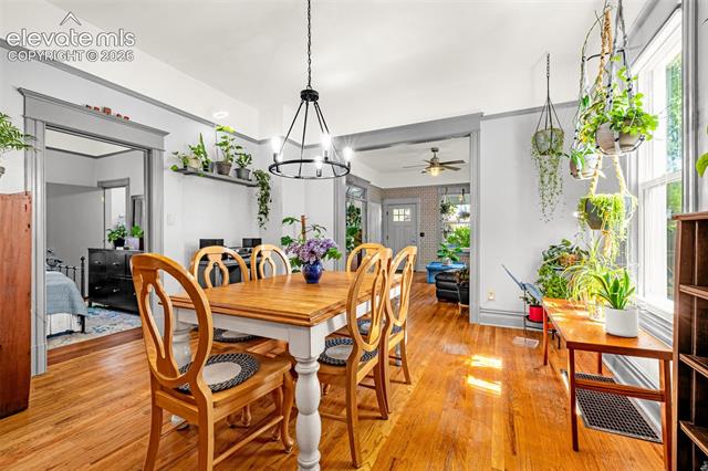 MLS Image for 714 N Hancock  ,Colorado Springs, Colorado