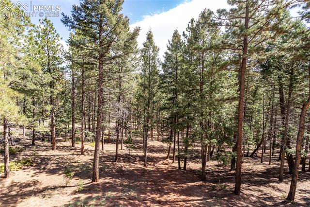 MLS Image for 161  Summer Haven  ,Woodland Park, Colorado