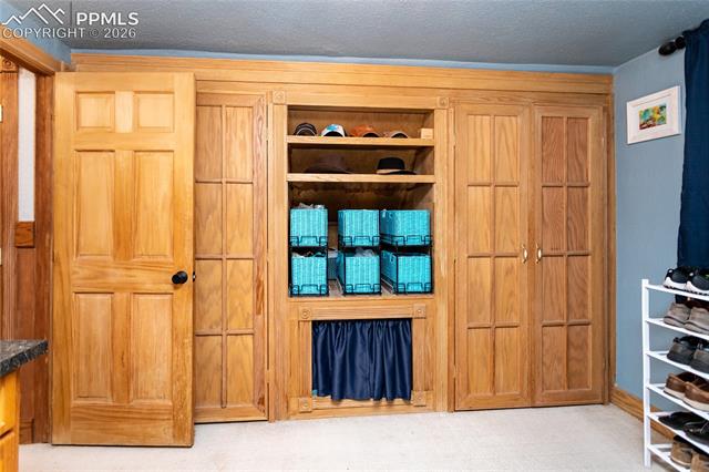 MLS Image for 161  Summer Haven  ,Woodland Park, Colorado