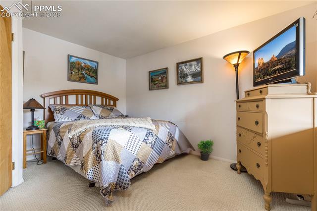 MLS Image for 1369  Spring Valley  ,Divide, Colorado
