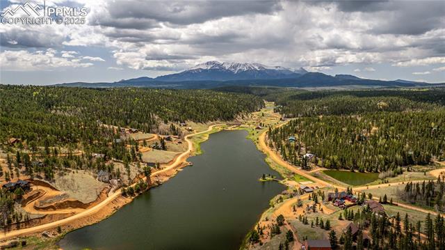 MLS Image for 1369  Spring Valley  ,Divide, Colorado
