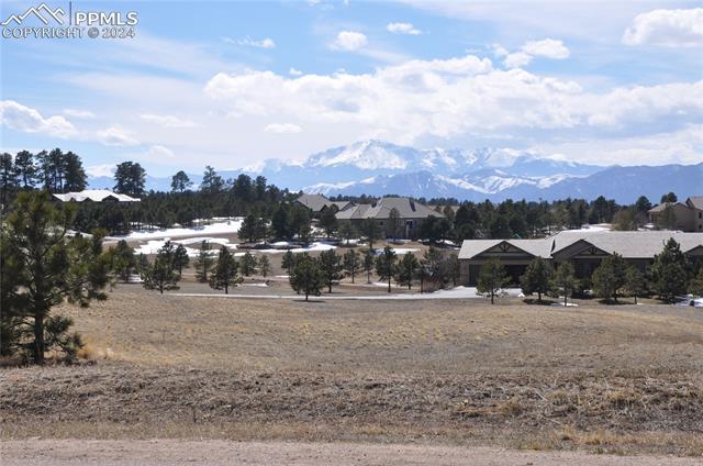 16452  Timber Meadow  , colorado springs  House Search MLS Picture