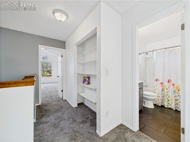 MLS Image for 3130  Haystack  ,Colorado Springs, Colorado
