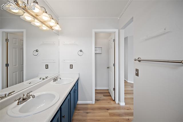 MLS Image for 7215  Mount Higgins  ,Colorado Springs, Colorado
