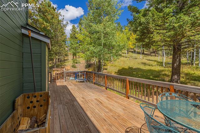 MLS Image for 413  Remwood  ,Divide, Colorado